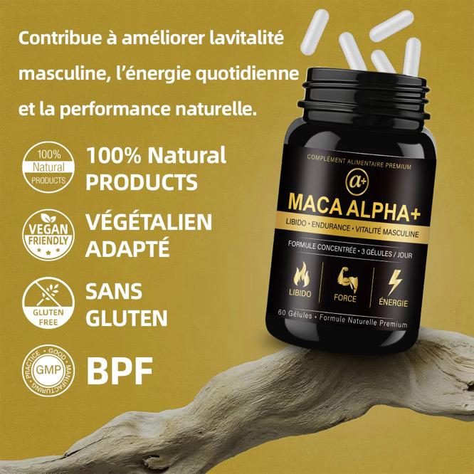 MACA ALPHA +