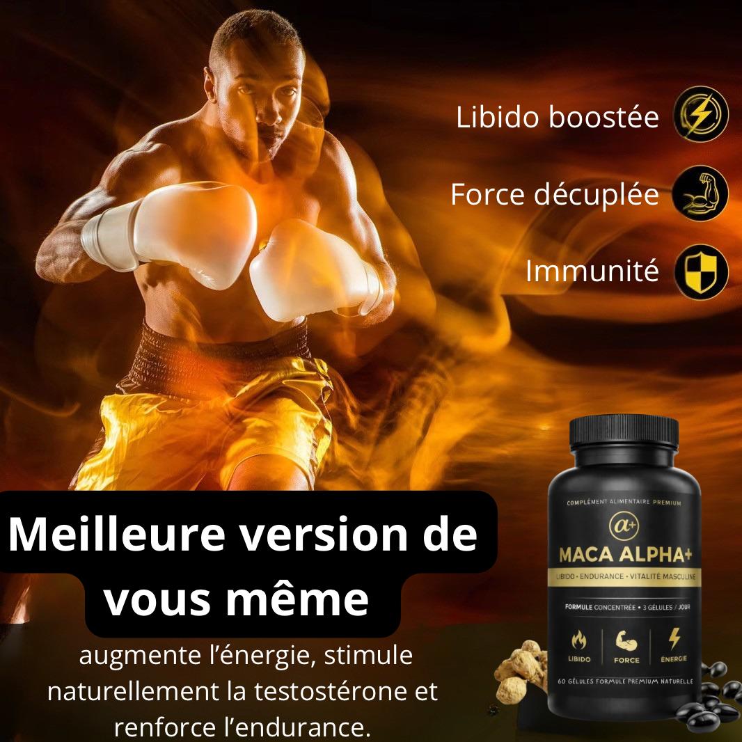 MACA ALPHA +