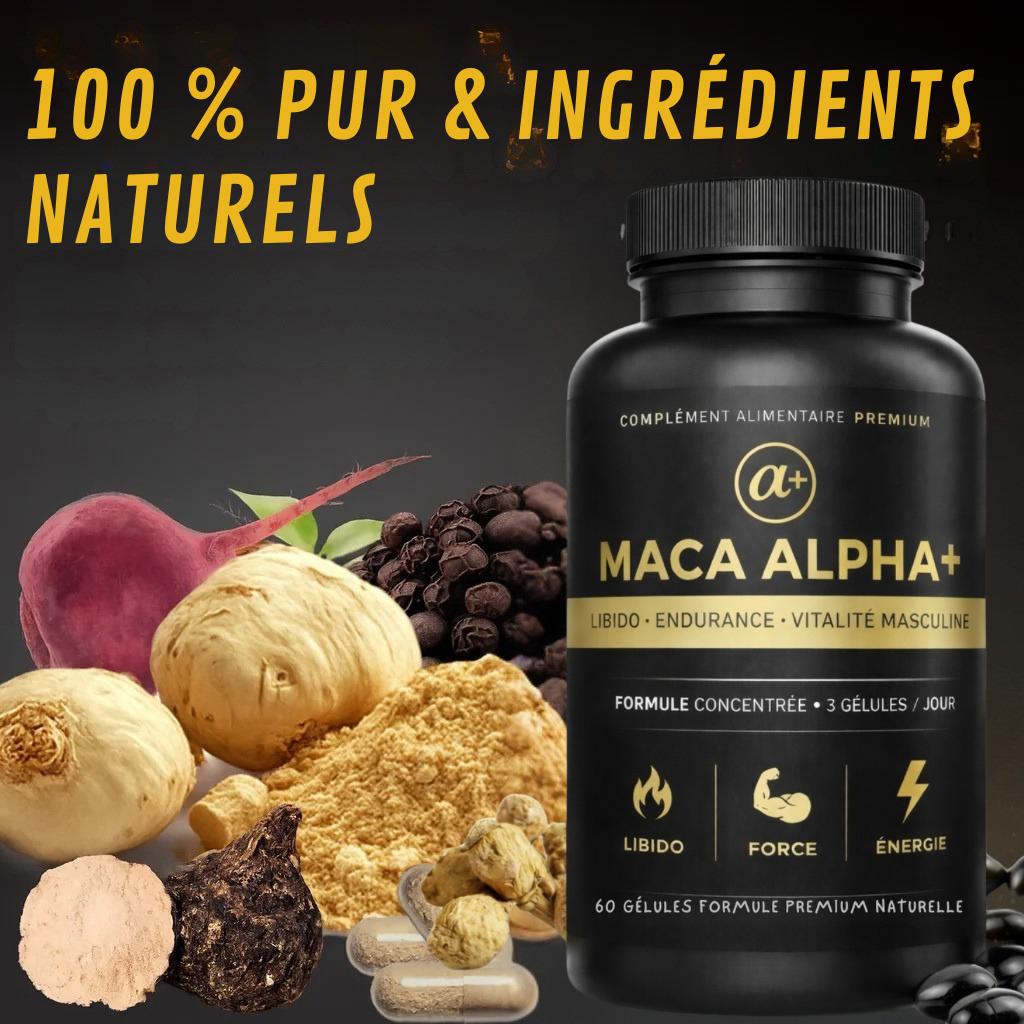 MACA ALPHA +